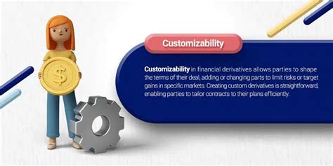 customizability|customizability definition.